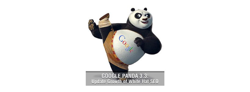 Google Panda 3.3 Update: Growth of White Hat SEO