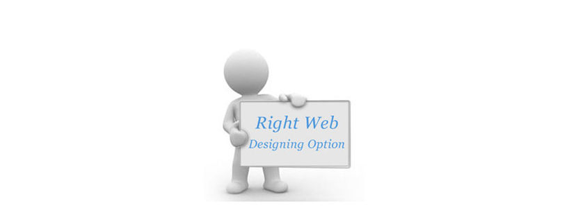 Choosing The Right Web Designing Option