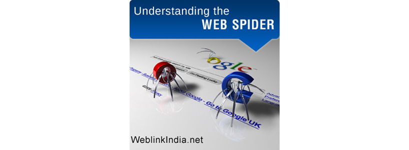 Understanding The Web Spider