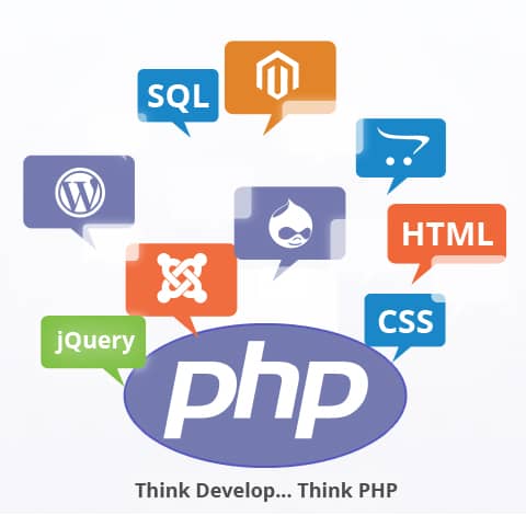 PHP Web Development Company in Delhi | PHP Website Development Services ...